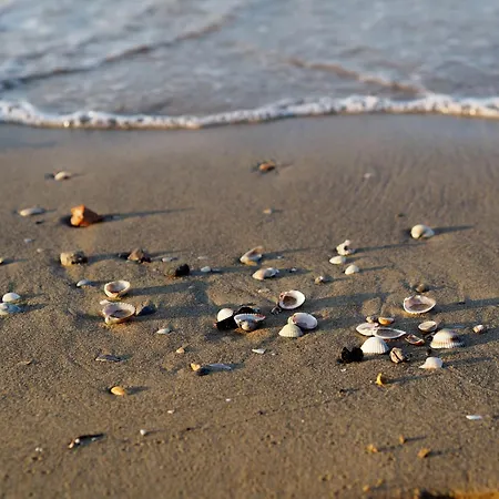 Apartamento Your Tranquil Escape In - Beahost Bibione